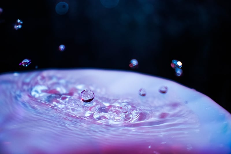 Ripple